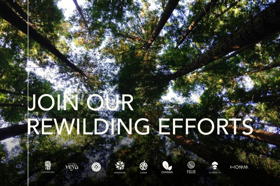 Banyan Group image, linked image opens in new window