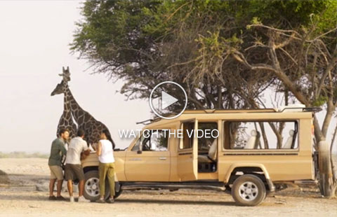 Anantara sir bani yas island