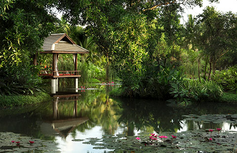 anantara spa valentines special