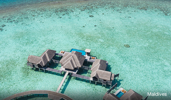 Festive luxury, preservation projects and exclusive savings right this way.