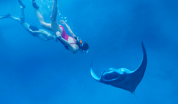 Lose yourself in the marvellous world of Anantara