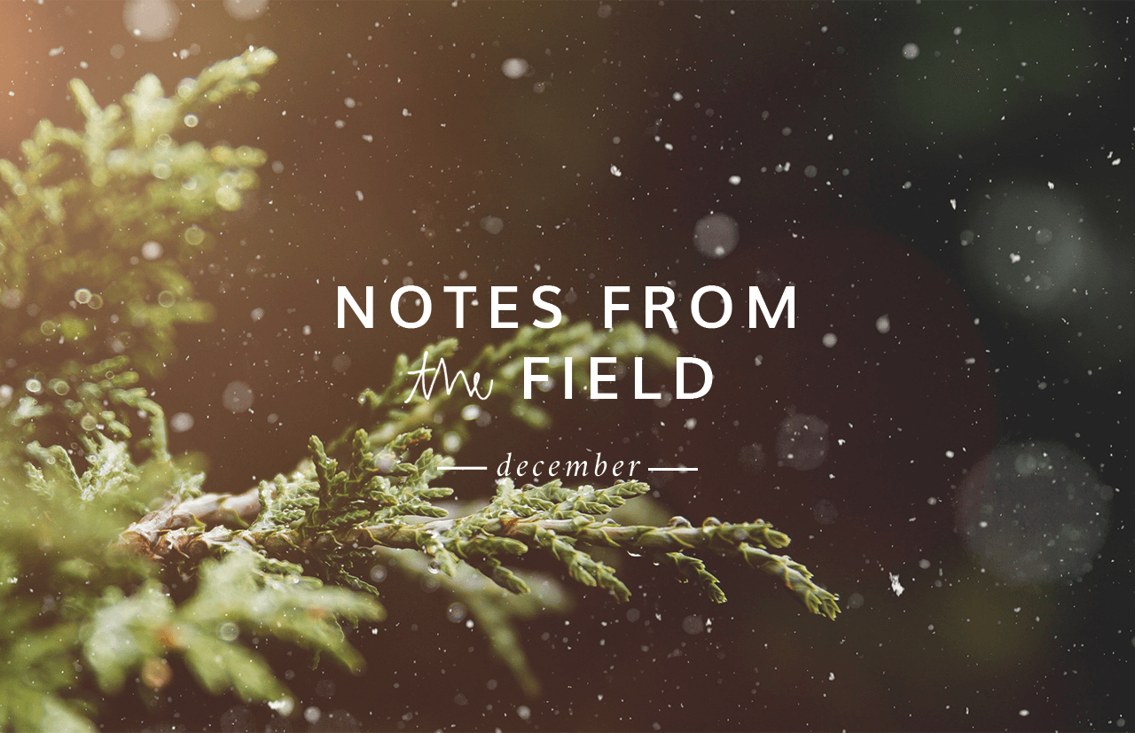 1 Hotels - Notes From the Field December